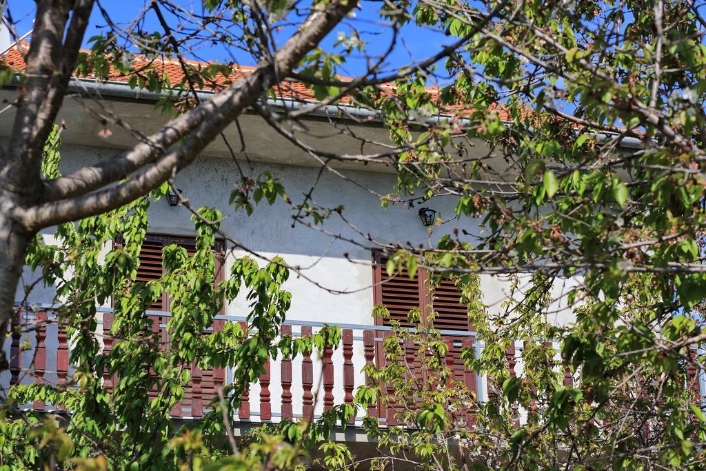 Apartment Ante Bibinje Buitenkant foto