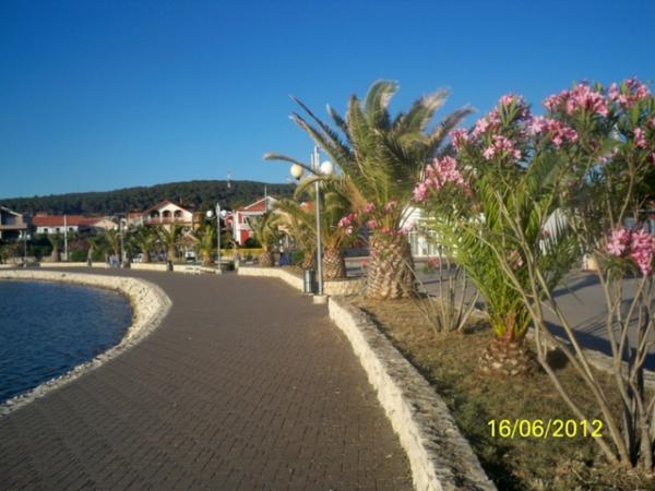 Apartment Ante Bibinje Buitenkant foto